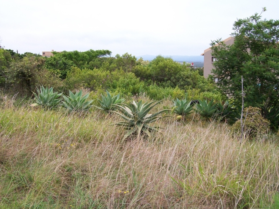 0 Bedroom Property for Sale in Wavecrest Eastern Cape